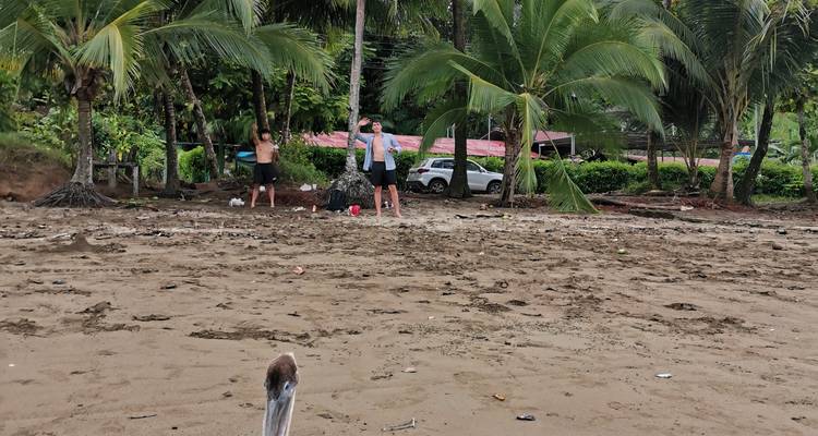 Twee personen die op een vuil zandstrand staan omgeven door palmbomen en geparkeerde auto's op een bewolkte dag.