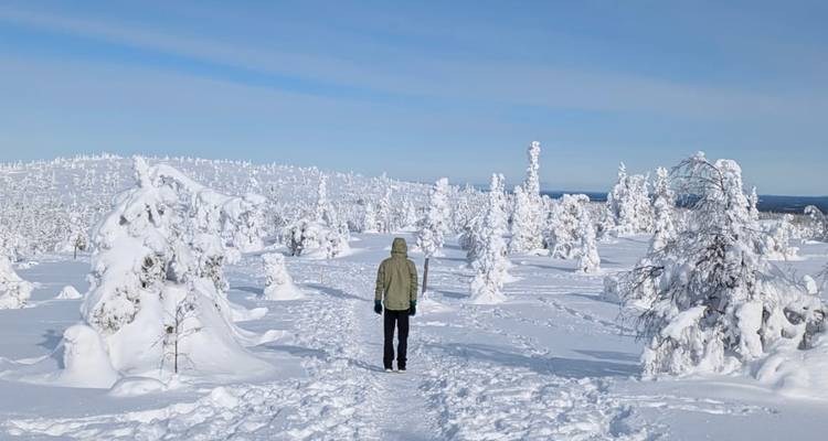 Une personne seule marchant le long d'un sentier enneigé parmi des arbres lourdement chargés de neige sous un ciel bleu clair.