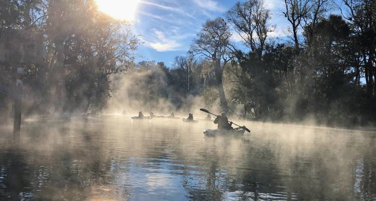 Les kayakistes pagaient dans la brume sur une rivière forestière au lever du soleil avec des rayons de soleil filtrant à travers.