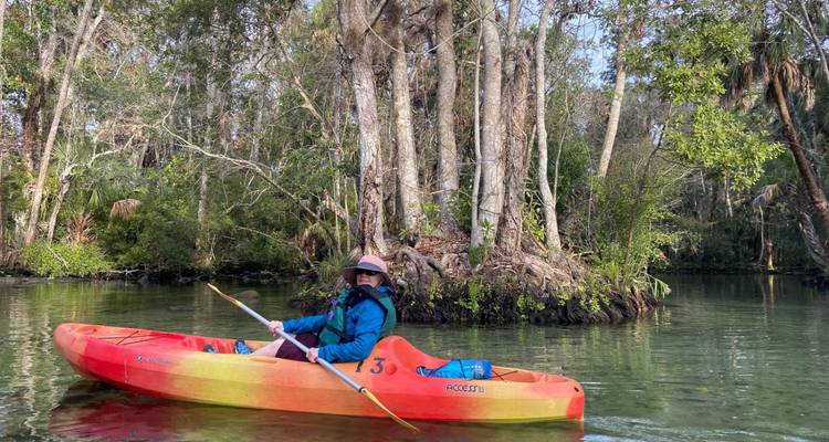 Le pagayeur solitaire dans un kayak orange vif glisse sur des eaux printanières claires bordées d'arbres.