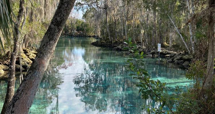 Source limpide aux eaux turquoise reflétant la forêt environnante et le ciel dans une scène tranquille.