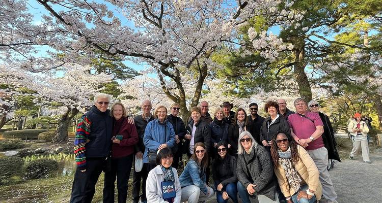 Grote toergroep poserend onder bloeiende kersenbloesembomen in een traditionele Japanse tuin