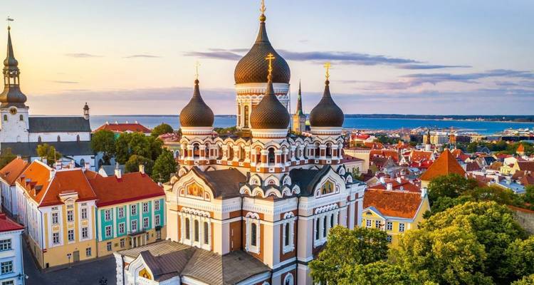 Ui-vormige Alexander Nevsky-kathedraal met uitzicht op de rode daken van de oude stad van Tallinn.