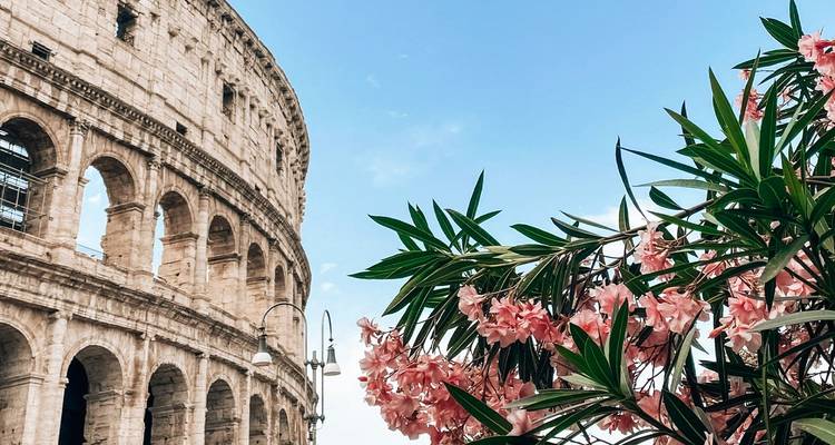 Close-up van Romes Colosseum-bogen in contrast met bloeiende roze oleander onder helderblauwe lucht.