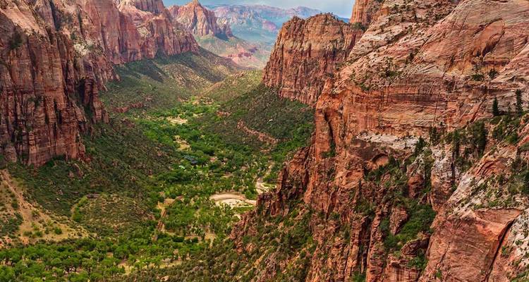 Towering red rock cliffs frame a green valley floor in spectacular Zion National Park.