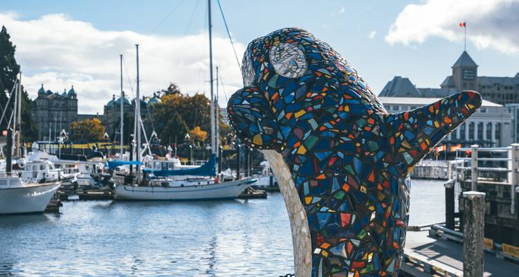 La sculpture d'orque en mosaïque surplombe les voiliers amarrés dans un port ensoleillé.