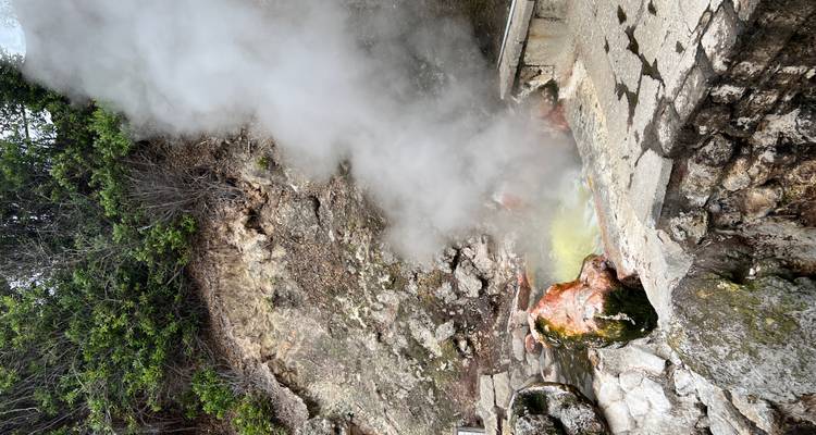 Une épaisse vapeur s'échappe d'une source géothermale jaune bouillonnante au milieu d'un terrain rocheux et de broussailles éparses.