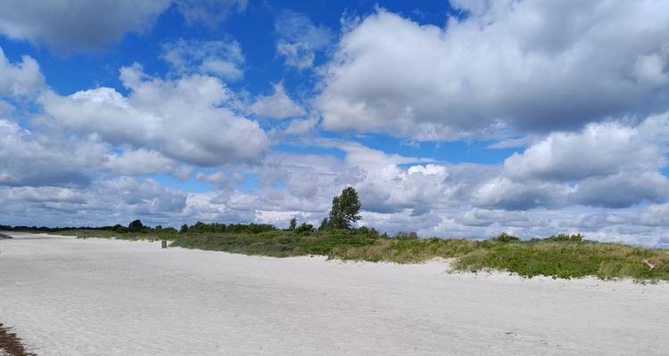 Vaste plage de sable blanc bordée de basses dunes sous un ciel bleu éclatant rempli de nuages cotonneux.