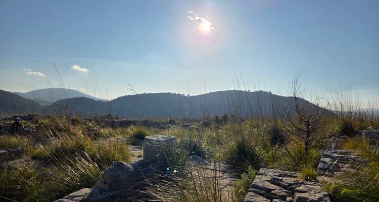Grassy archaeological field at golden hour with low sun over distant hills.
