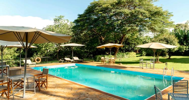 Piscina al aire libre muy acogedora con tumbonas y sombrillas en un exuberante jardín de un lodge de safari.