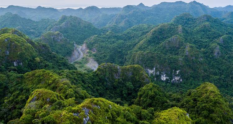 La densa selva verde cubre las escarpadas crestas de piedra caliza que se ven desde arriba en el Parque Nacional de Cat Ba.