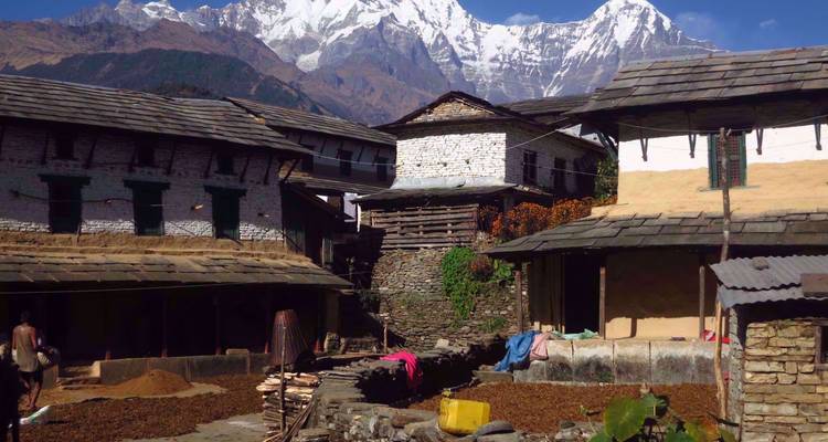 Les maisons traditionnelles en pierre népalaise se dressent face aux sommets enneigés de l'Annapurna sous un ciel dégagé.