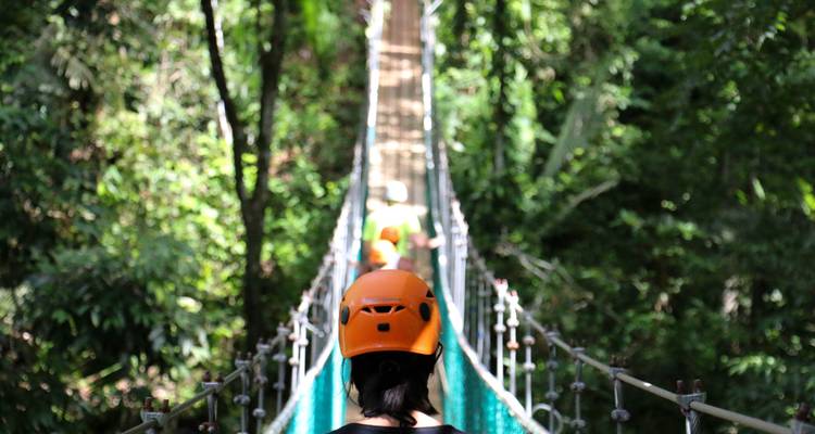 Des aventuriers portant des casques traversant un long pont suspendu au cœur de la canopée de la forêt tropicale.