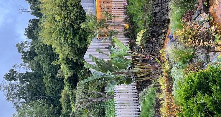 Jardin paysager avec plantes tropicales, bananier et petits chalets en bois chaleureusement éclairés au crépuscule.