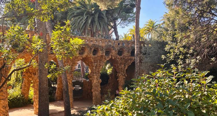 Les arches du viaduc en pierre entourées de verdure luxuriante et de lumière tachetée dans le Parc Güell.