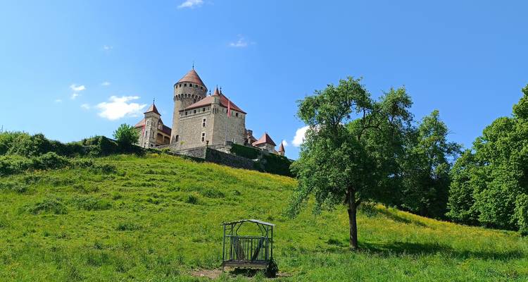 Château de pierre de conte de fées aux toits rouges perché sur une colline herbeuse contre un ciel dégagé
