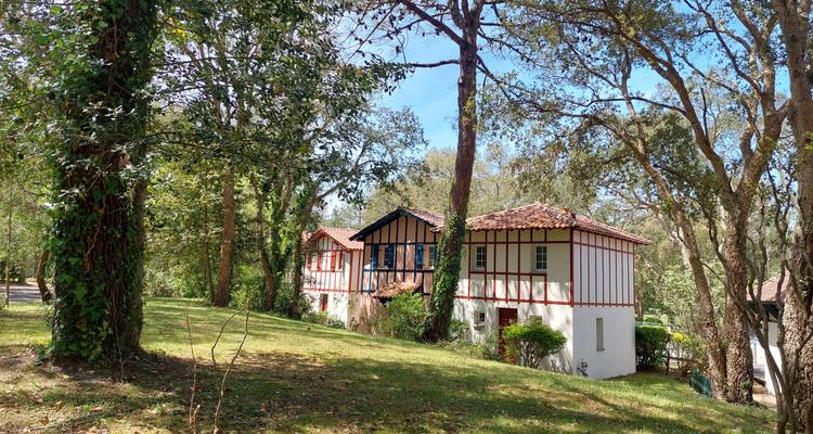 Des chaumières traditionnelles à colombages nichées parmi de grands arbres sur un versant herbeux.
