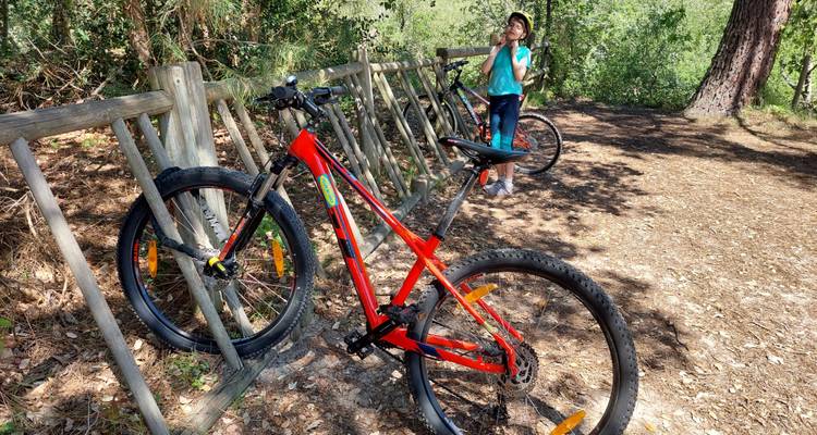 Un vélo de montagne rouge vif garé sur un support en bois tandis qu'un jeune cycliste boit à proximité dans une clairière forestière.