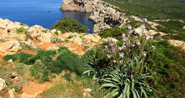 Felsige Meeresklippe mit grünen Sträuchern mit Blick auf tiefblaues Meer und zerklüftetes Kap.