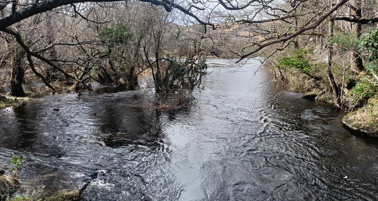 Río ancho y de movimiento lento serpentando bajo las ramas desnudas de los árboles creando reflejos en el agua oscura.