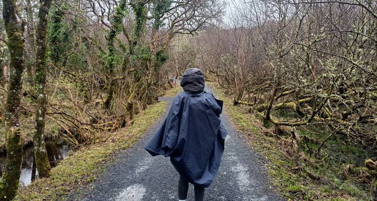 Un senderista envuelto en lluvia caminando por un sendero forestal de grava bordeado de ramas cubiertas de musgo.