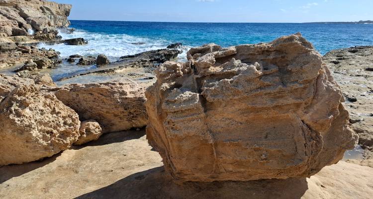 Close-up of a weathered boulder on rocky shoreline with sea in background