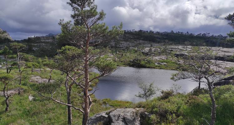 Petit étang forestier encerclé par un terrain rocheux et des pins épars sous des nuages dramatiques.