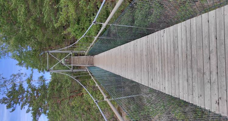 Pont suspendu étroit en bois menant à une forêt verte dense sous un ciel bleu.