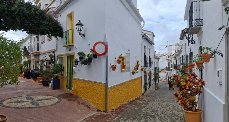 Charmante smalle steeg met bloempotten en witte huisjes in oud-Andalusische stad