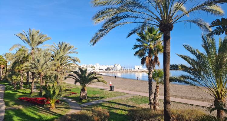 Palmbomen omzoomd strandpark met kalme zee en helder lucht op de achtergrond