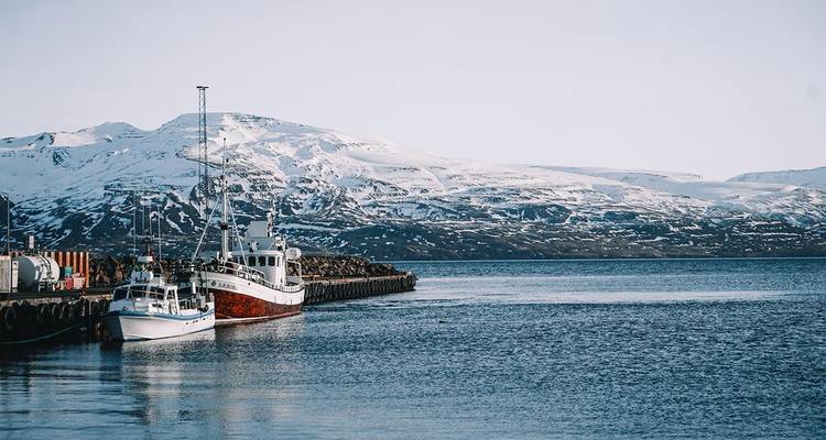 Des bateaux de pêche sont amarrés le long d'un port de montagne enneigé sous une lumière brillante et claire.