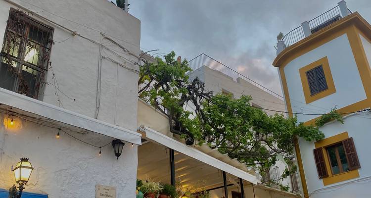 Façade charmante de la vieille ville avec du feuillage grimpant et un ciel au coucher du soleil.