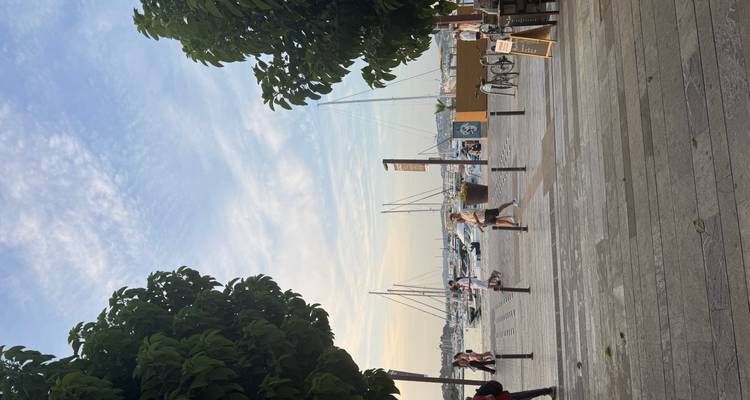 Vue de la promenade vers une marina avec des piétons, des arbres et des voiliers amarrés.