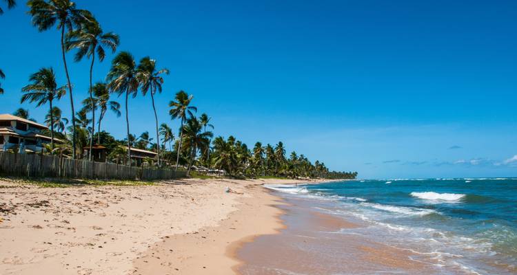 Longue plage tropicale avec du sable doré, des vagues douces et des rangées de palmiers bordant les maisons en bord de mer.