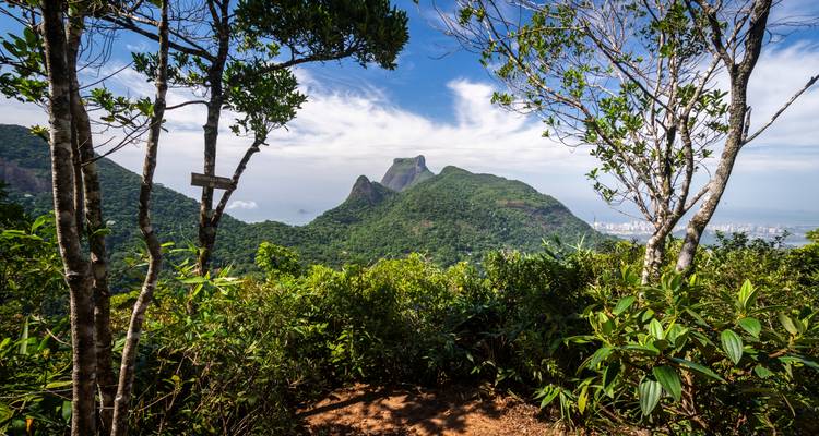 Pic de montagne encadré et forêt tropicale vus à travers les arbres depuis un belvédère en terre dans la forêt de Tijuca.