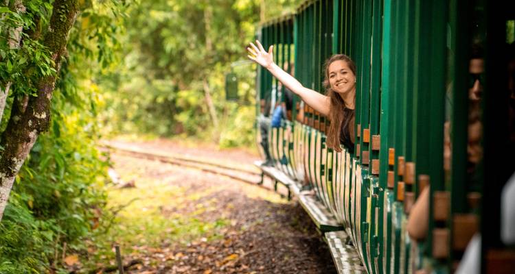 Passager souriant se penchant hors d'un train découvert vert alors qu'il traverse une forêt luxuriante.