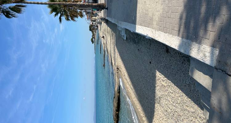 A quiet seaside promenade with palm trees and a pebbly beach stretches into the distance on a sunny day.