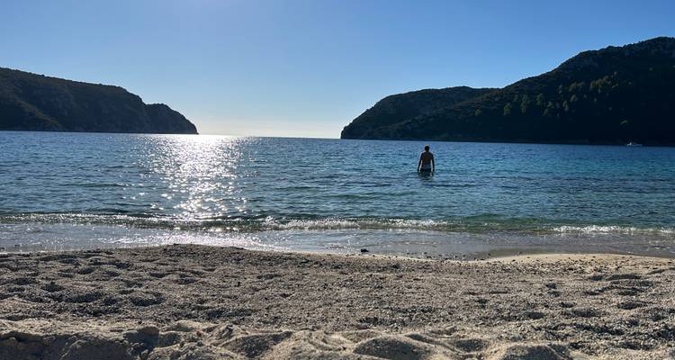 A lone swimmer wades in clear water framed by two forested headlands with sparkling light on the waves.