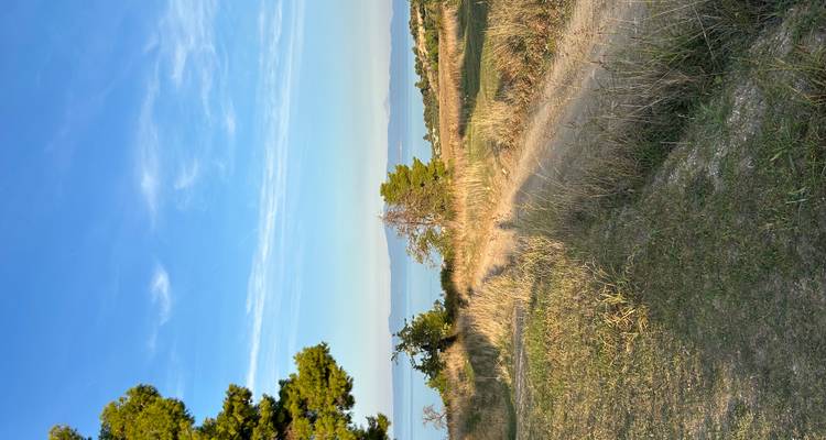Grassy dunes and a dirt trail lead to coastal views and distant hills beneath a bright blue sky.