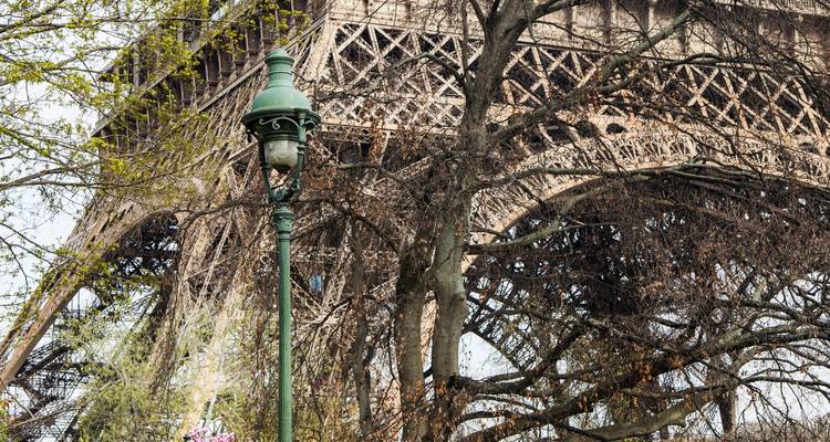 Vue rapprochée d'un réverbère parisien orné encadré par des arbres en bourgeonnement avec la structure en treillis de fer complexe de la Tour Eiffel en arrière-plan.