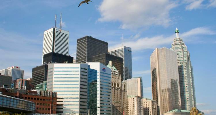 Les gratte-ciel du quartier financier de Toronto sous un ciel dégagé alors qu'une mouette plane au-dessus.