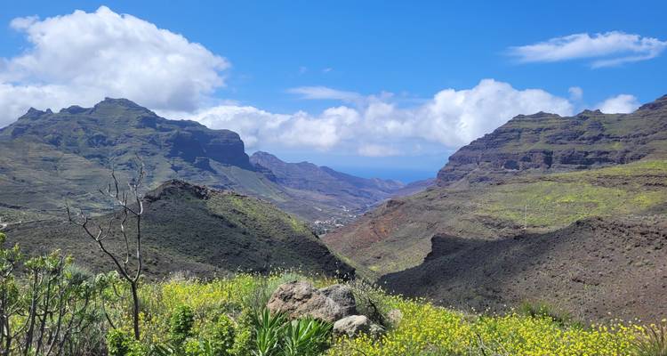 Vallée verdoyante bordée de fleurs sauvages, pics rocheux et nuages épars sur un ciel bleu.