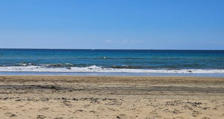 Plage de sable tranquille avec des vagues douces qui roulent sous un ciel bleu sans nuages.