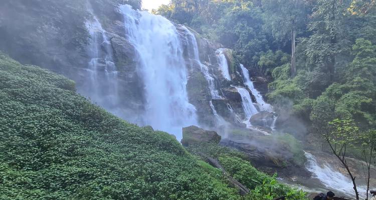 Una poderosa cascada cayendo por un acantilado exuberante en un entorno selvático lleno de neblina
