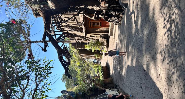 A child walks along a cobblestone path between whimsical tree-shaped buildings under a sunny sky.