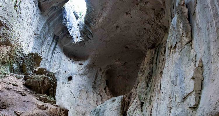 Des parois calcaires imposantes forment un passage de caverne spectaculaire avec la lumière naturelle qui s'infiltre.