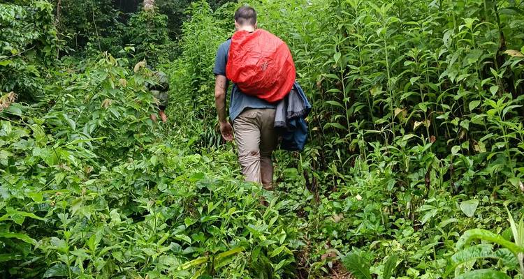 Achteraanzicht van trekker met rode regenhoesje lopend door hoge natte junglevegetatie.