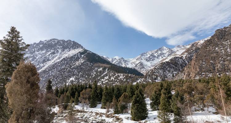 Vallée alpine enneigée avec une dense forêt de conifères sous un ciel bleu.