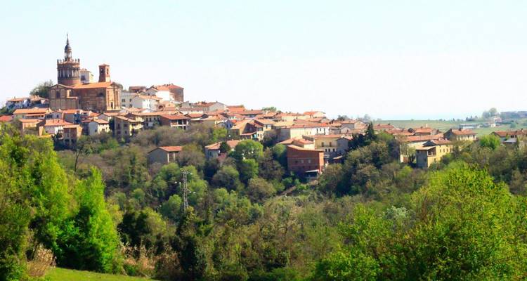 Vista a través de un pueblecito rural en una ladera con una torre de iglesia histórica y casas de techo rojo entre árboles verdes.