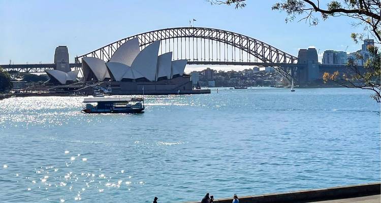 Sydney Opera House en Harbour Bridge omlijst boven sprankelend blauw water met een veerboot op de voorgrond.